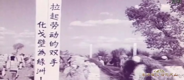 甲子峥嵘，豪情依旧！边疆地平线上那些曾经蓬勃的青春，如皋不会