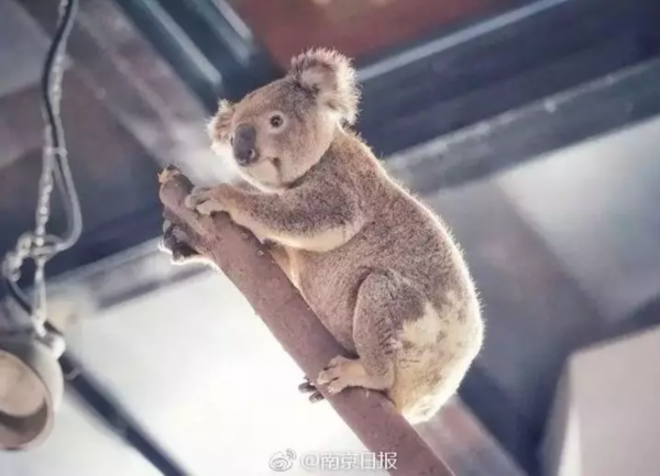 下半年南京这些景区免费开放日一览，赶快收藏！