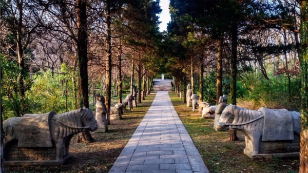 下半年南京这些景区免费开放日一览，赶快收藏！