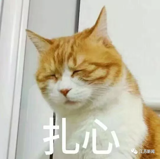 小伙投资亏了十几万，网恋女友撂下狠话：我是黑客，帮你拿回来！