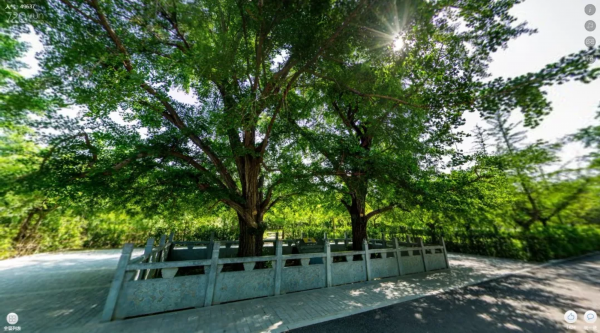 邳州又一个田园乡村即将“变身”，带你先睹为快！