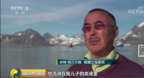 格陵兰岛的雪橇狗要失业了？！原因让人心疼... 