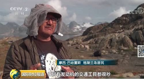 格陵兰岛的雪橇狗要失业了？！原因让人心疼... 