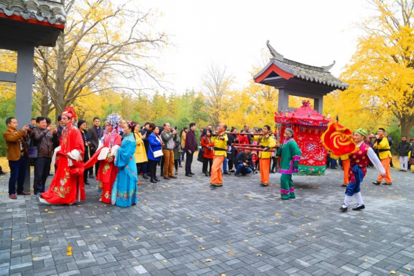 邳州又一个田园乡村即将“变身”，带你先睹为快！