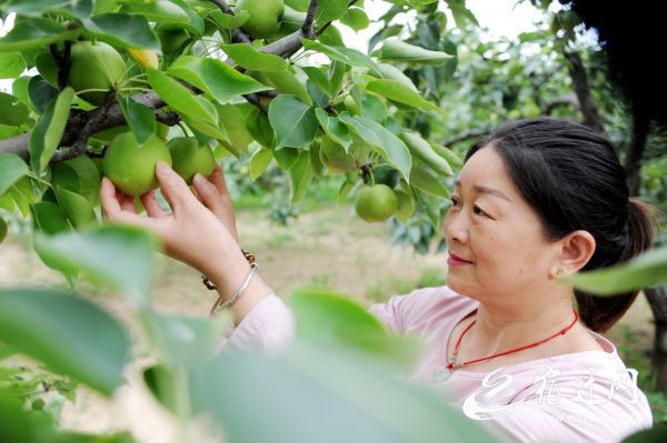 DSC_8571(264574)-20190717085257