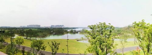 哇！张家港这里藏着一个现实版“绿野仙踪”！