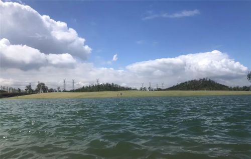 哇！张家港这里藏着一个现实版“绿野仙踪”！