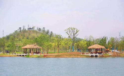 哇！张家港这里藏着一个现实版“绿野仙踪”！