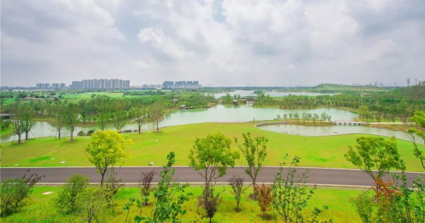 哇！张家港这里藏着一个现实版“绿野仙踪”！