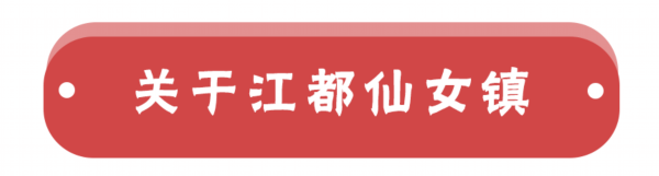 扬州唯一！江都这个乡镇在全国出名了！