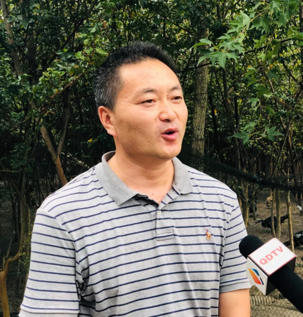 飞奔的精灵  财富养在绿树红花间