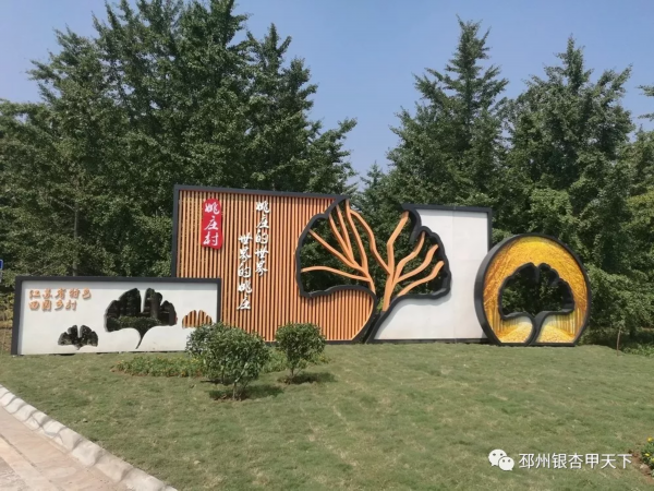 快看！邳州这个镇串起一条银杏旅游线路，好想去逛逛！