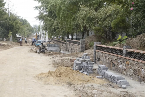 快看！邳州这个镇串起一条银杏旅游线路，好想去逛逛！