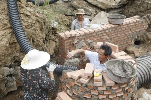快看！邳州这个镇串起一条银杏旅游线路，好想去逛逛！