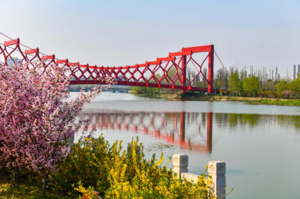 灯光秀+美食荟+大马戏+花船巡游……这场重要活动，将在扬举行！