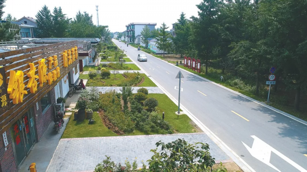 快看！邳州这个镇串起一条银杏旅游线路，好想去逛逛！