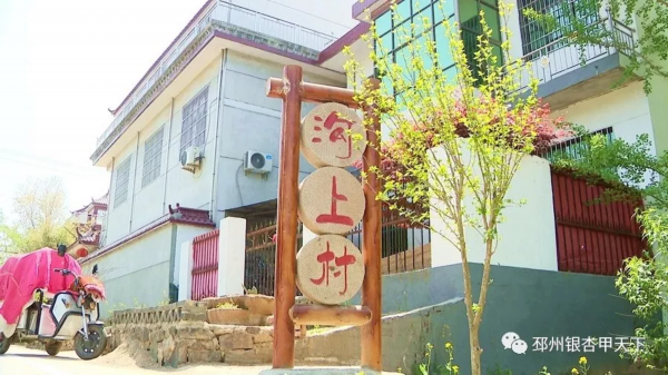 快看！邳州这个镇串起一条银杏旅游线路，好想去逛逛！