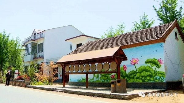 快看！邳州这个镇串起一条银杏旅游线路，好想去逛逛！