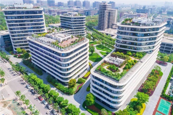 刚刚，南京市长国际咨询会开了！