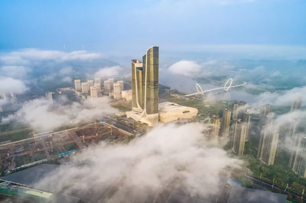 刚刚，南京市长国际咨询会开了！