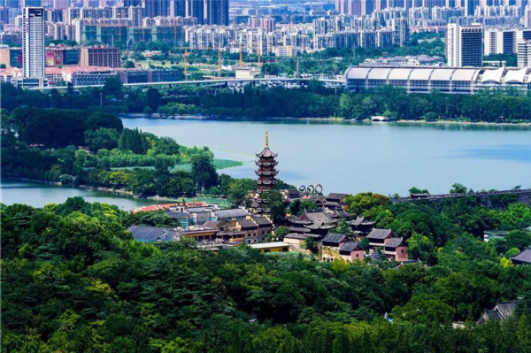 刚刚，南京市长国际咨询会开了！