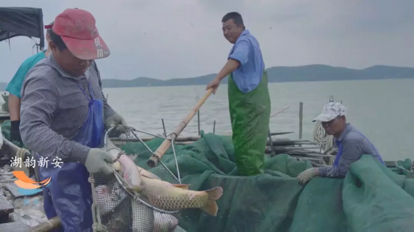 无锡新安！九月里最期待的那一口美食在这湖鲜宴上！