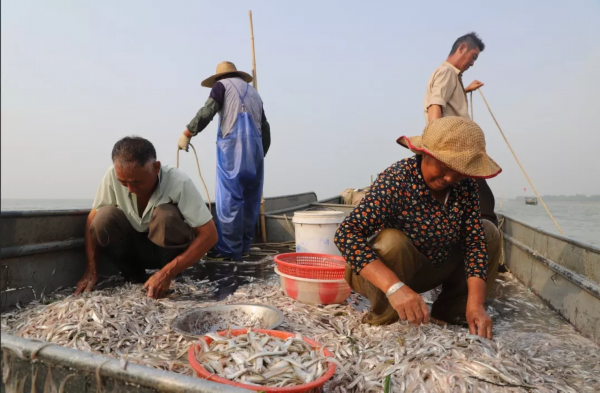 无锡新安！九月里最期待的那一口美食在这湖鲜宴上！