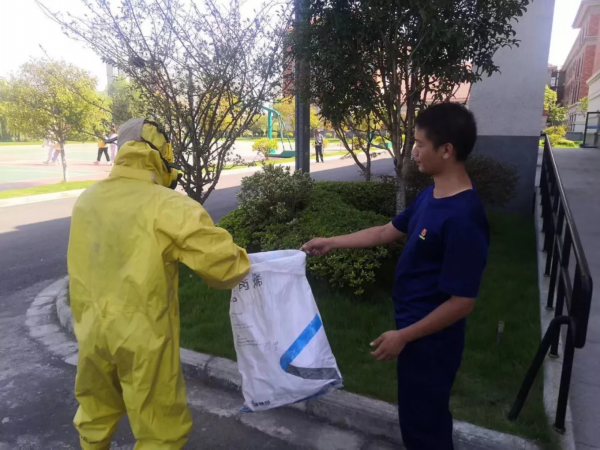 泰州这棵3米多高的树上惊现…消防员全副武装赶来了