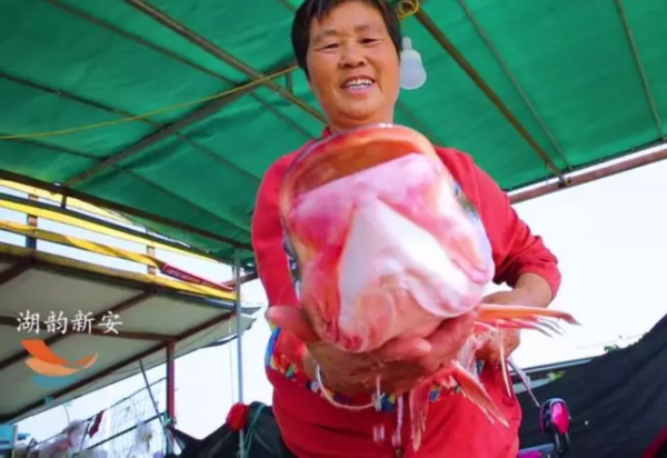 无锡新安！九月里最期待的那一口美食在这湖鲜宴上！