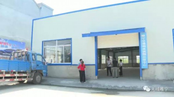 壮丽70年·穿越时空话变迁（六）| 从“车马邮路”到“万物互联”