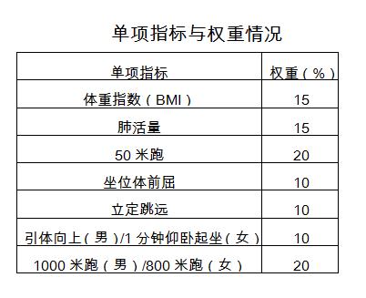大学生体测单项权重情况