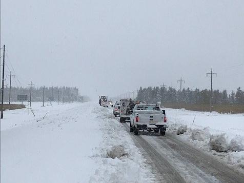  △ 图片来源：社交媒体