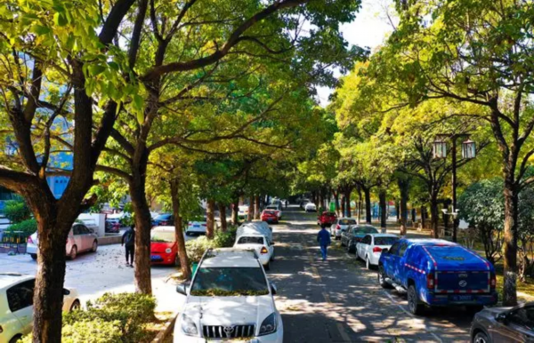 百日会战，泉山人这样干！