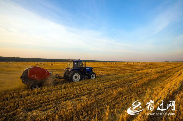 综合利用小麦秸秆产效益(215895)-20190618083806