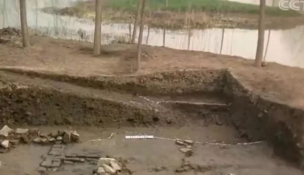 徐州新增1处“国宝”！地点在……