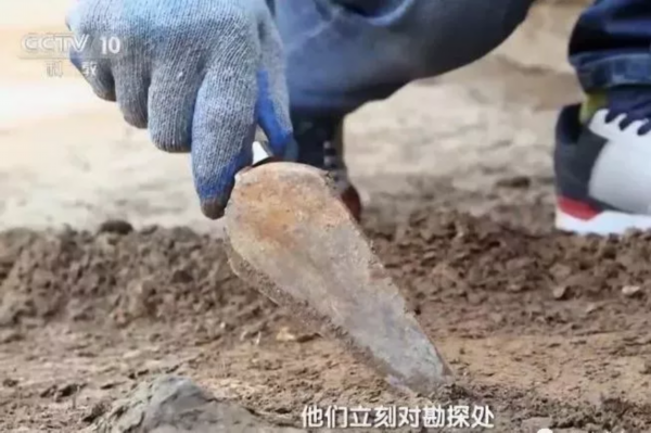 徐州新增1处“国宝”！地点在……