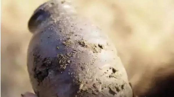 徐州新增1处“国宝”！地点在……