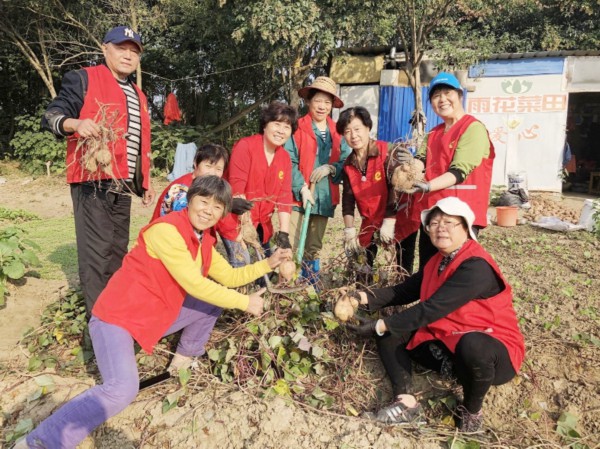 “这儿的菜只送不卖”爱心菜“专供”贫困家庭孤寡老人