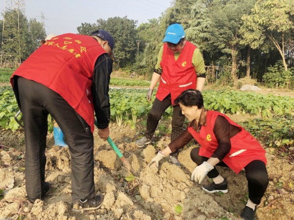 “这儿的菜只送不卖”爱心菜“专供”贫困家庭孤寡老人