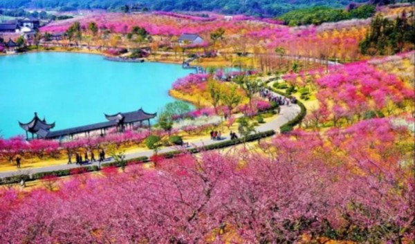 请收藏！这份苏州溯源清单！