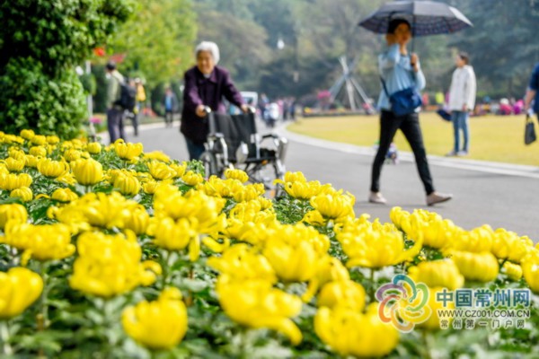 常州青枫公园秋季游园会周六开幕啦