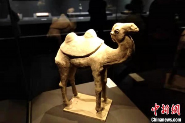 精美文物亮相西安。　田进 摄