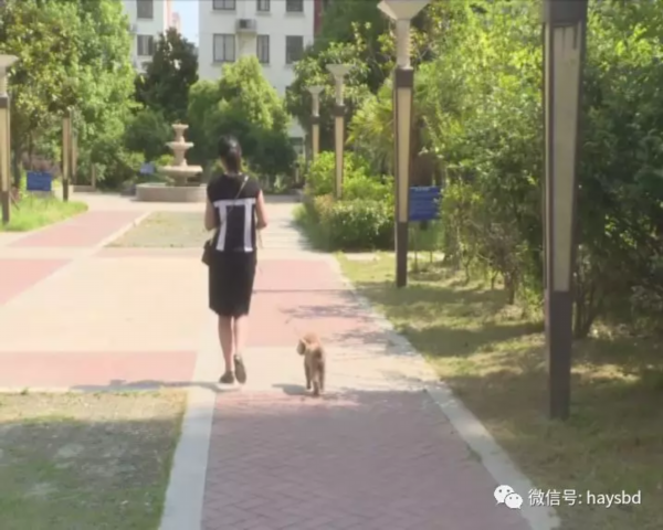 专找遛狗人“碰瓷”，淮安警方打掉一个流窜诈骗犯罪团伙！