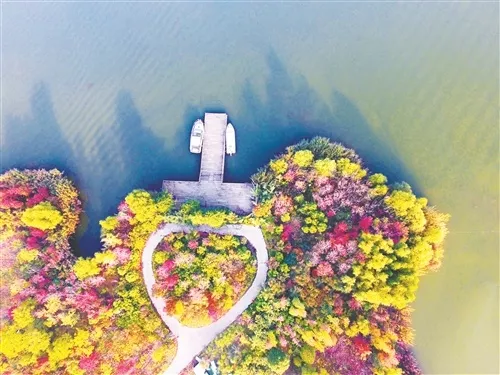 含金量最高，全市唯一！入选的为什么是她？