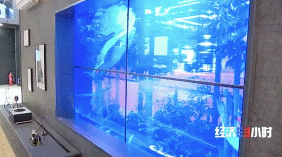 超大屏的透明电视