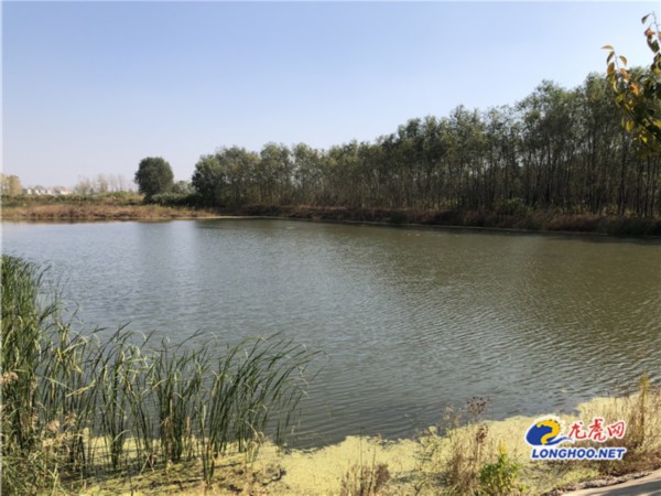 大学生农村创业 南京为乡村振兴注入青春力量