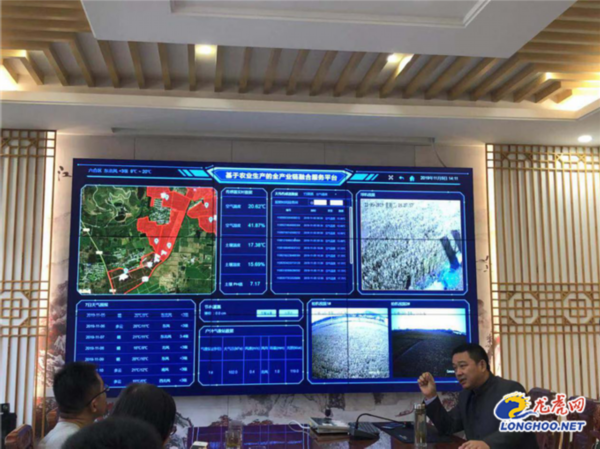 科技让农业变“简单” 南京为乡村振兴注绿色动能