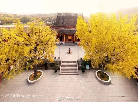 南京天气双十一将“遇冷”