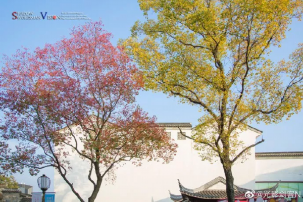 南京天气双十一将“遇冷”