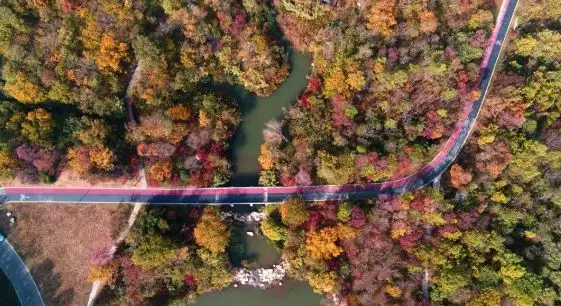 “加减乘除”，教你解开湖滨幸福方程式！